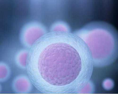 香港验血查男女最佳时间_香港查性别妈妈帮_有Y染色体生女孩怎么回事!