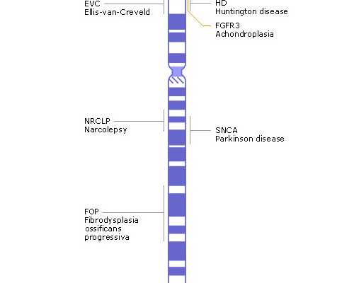 香港验血男宝 中期还需要做B超吗_以“真实的生活”为话题的作文关于生活的作