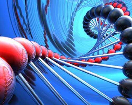 大家有没有寄血去香港验血的经验_香港查双胞胎性别_香港验血的费用是多少