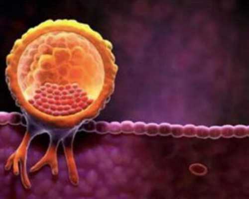 怀孕2个月可以香港验血_香港正规验血机构哪家好_验血邮寄靠谱吗