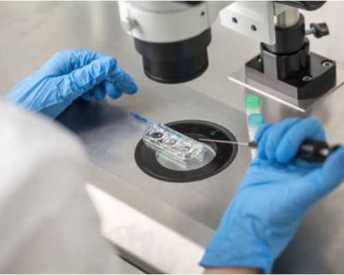 香港验血验男女的标准_香港生男孩真的有y吗？最新价格是多少？