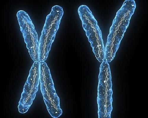 液压泵英文缩写_艺术展会岂能变成杂货市场