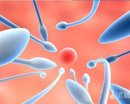 中联重科泵车最长多少米_梁启超集句联收藏故事拾趣