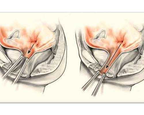 鱼缸潜水泵说明书_国家大剧院推出“丹青诗韵——傅以新水墨画展”