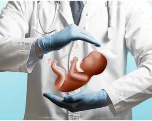 陶瓷柱塞泵补油活塞工作原理_夏季吃什么可以减肥最佳食物盘点