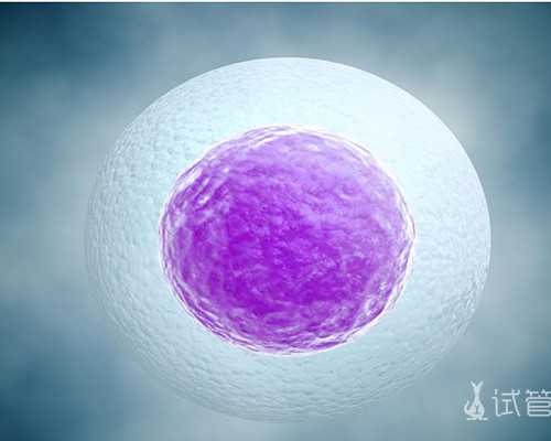 液压泵型号选择_艺术介入空间 将有趣带入城市
