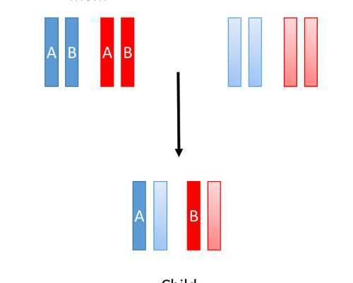 香港几周验血生男女_2026香港四大化验所，流程步骤介绍！