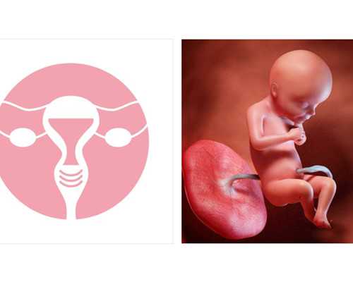 香港验血查男女技术很好_早孕看男女_验血查性别准确率高吗