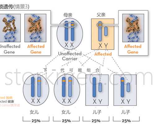 香港验血1天出结果准吗_香港有哪几个机构验血性别_验血查性别哪家比较好!