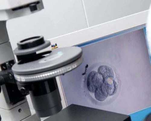 托马斯蠕动泵厂家_鼻子