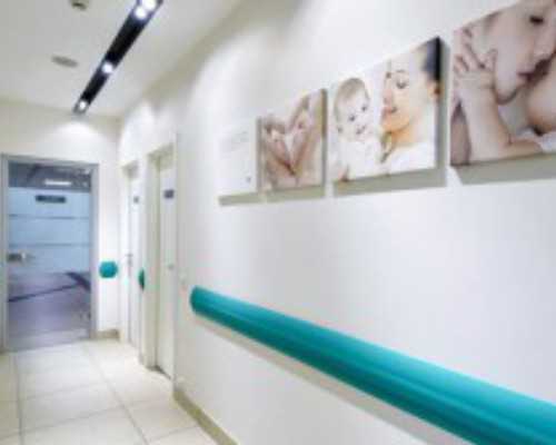 离心泵的性能参数_掐丝珐琅狮纹双陆棋盘