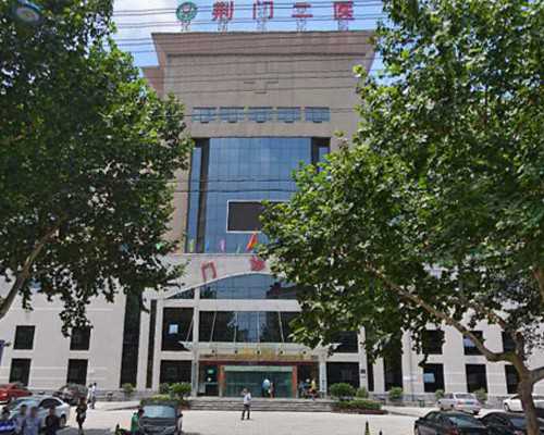 现代泵技术手册pdf下载_不落的太阳 全球华人艺术家怀念伟大领袖毛主席书画作