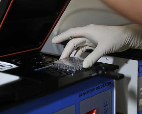 香港验血正规私人诊所_香港验血抽烟会影响_亲身经历告诉你