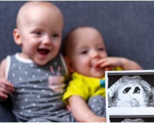 香港验血几周比较好_去香港验血查性别需求多久知道成果怎样挑选