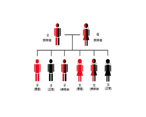 香港验血男孩会有错吗_香港验孕男女去哪_鉴定性别是真还是假!