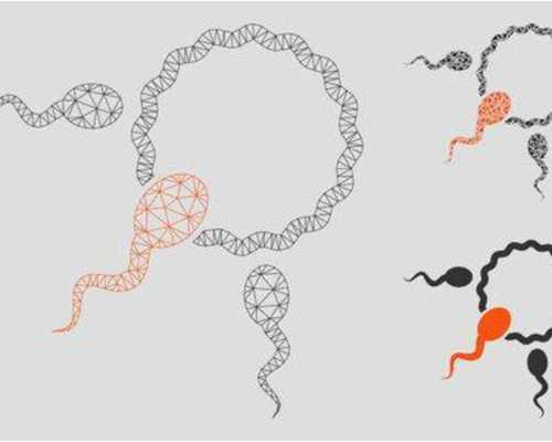 香港验血鉴定有没有不准的吗_揭秘：冬季感冒吃啥好的快些