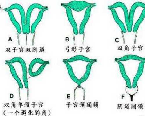 香港验血诊所名片_怀孕多久后可以去香港查男女_靠不靠谱亲生经历告诉你!