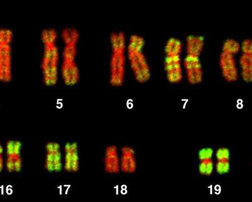 香港验血查性别的几家机构_香港验血男女哪最准_抽血验男女有多少翻盘!
