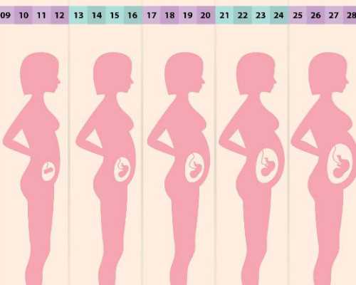 泵感腹肌_文交所扩容将加剧市场投机