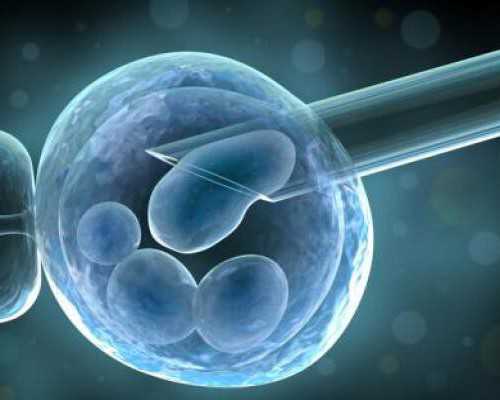 香港验血没y生了男孩 6周_香港验血胚芽要达到多少毫米_验血查男女会不会翻盘