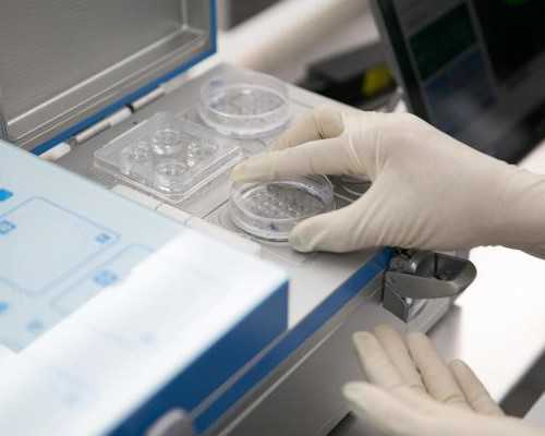 香港怀孕验血测男女准吗_香港验血准确率高不高问医生_告诉你验血查男女需要