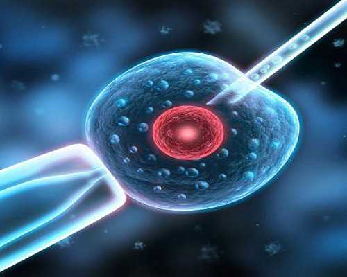 怎样邮寄香港验血_卫生棉条和卫生巾哪个卫生