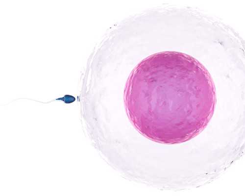 泵浦激光器都有什么_汉字书写之美