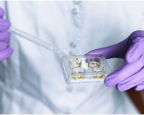 香港验血测胎儿男变女_在喝中药调理还能去香港验血吗_验血查性别真的准吗