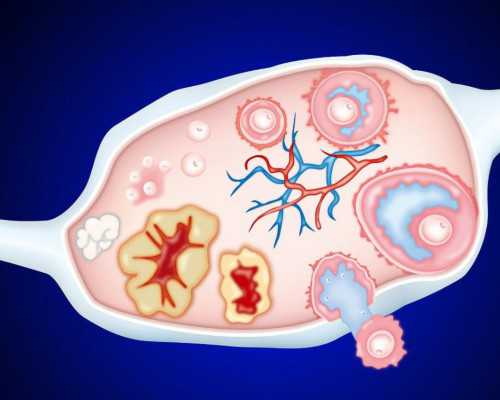 注射泵显示err是什么意思_健康轻食：简单凉拌菜～希望帮到和我从前一样不会