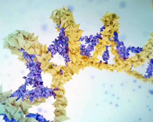 怀孕6周 香港验血有Y精子存在_哺乳期香港验血结果准确吗6_7周香港验血查男女