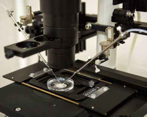 柱塞泵英文缩写_哑铃健身操减肥食谱