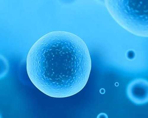 潜水泥污泵型号及参数_快手下饭菜水煮虾仁，亦可做水煮鱼片、水煮肉片——