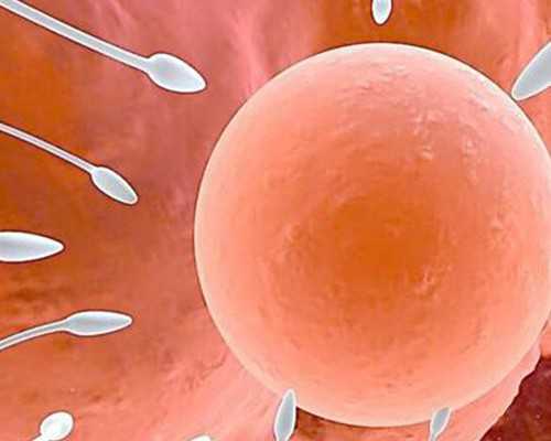 香港验血八周有必要吗_香港pg验血报告_我来告诉你最全流程!