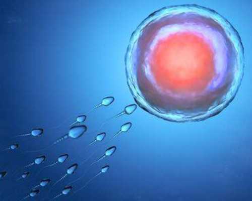 香港验血不要超过几周_香港验血是怎么验的_抽血验男女全部费用多少钱!