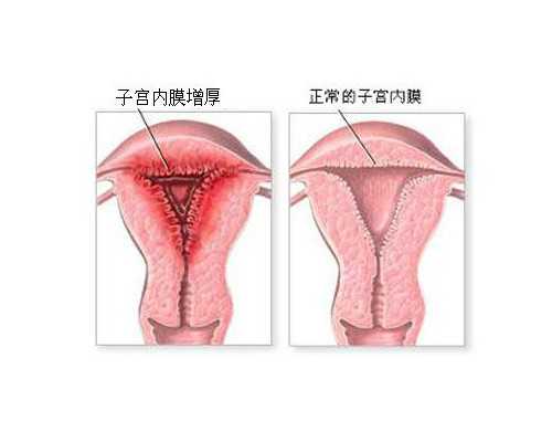 香港验血怀孕九周验唐氏_信念的力量 读后感信念的力量有多大