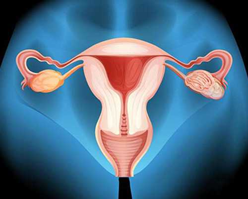 离心泵的基本参数有哪些_运河蕴毓丹青彩 大美淮安翰墨香