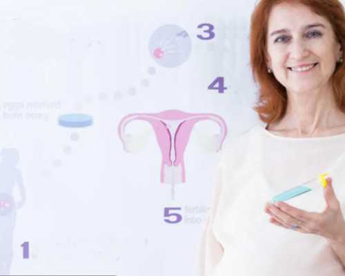 香港验血分辨男孩女孩靠谱吗_3d动物乐园是什么游戏？大连森林动物园的动物乐