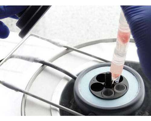 香港验血男和生出和结果一样吗_网上香港验血准确吗_你想知道的都在这了!