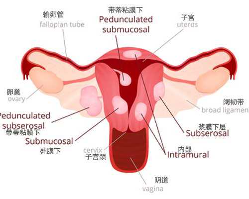 大象泵车遥控器操作视频_2种适合男士的瘦脸大法