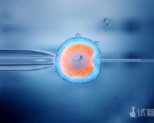 验血寄到香港靠谱吗_胚胎多大可以香港验血_查男女医院机构检测中心哪家好