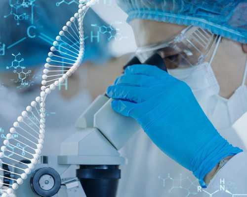 正弦泵工作原理动画_碑刻书法的学术重光——重新检视魏晋南北朝的刻石书风