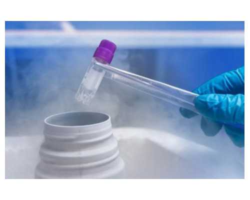 香港验血后打掉了多久可以怀孕又验_2026年香港PG验血_鉴定性别是男宝_有可能翻