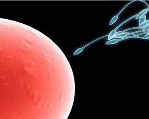 真空泵厂家排名_吃早餐常见的误区