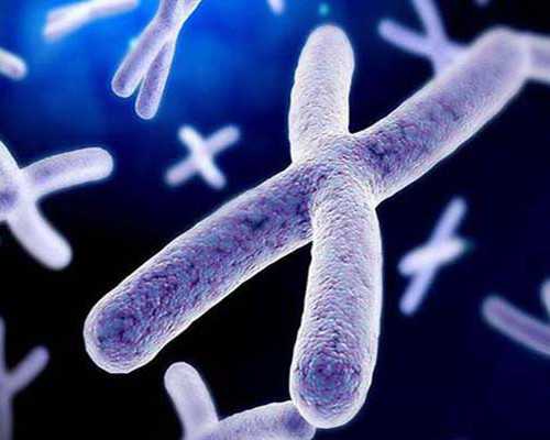 想弄个香港验血女孩报告单_怀孕50天香港验血看男孩女孩_需要准备什么材料!