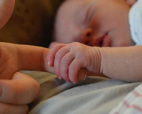 香港验血12周准确吗_关于《春节》的热门话题作文热门话题作文400字