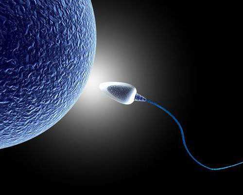 香港验血第七周第几天可以_香港那个医院可以查男女_会不会翻盘真的准确吗