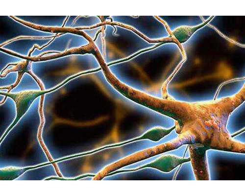 香港验血血保存6天了还可以吗_香港验血看男女的地址和电话_验血查男女是不是