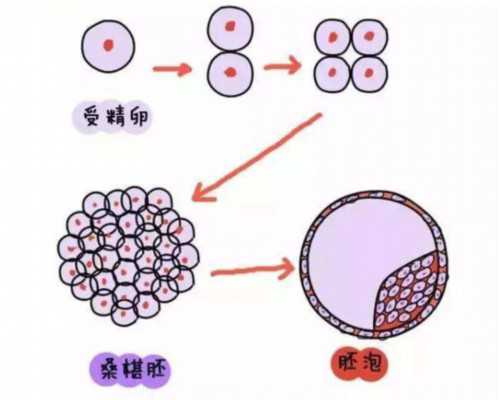 香港验血测性别 能不能寄血过去_香港孕妇验血机构_你不知道的还有这么多