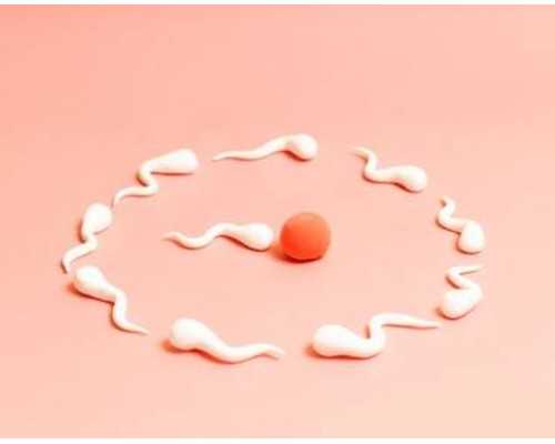 香港怀孕验血报告多久可以出结果_四川到香港验血攻略_验血查性别哪个验机构