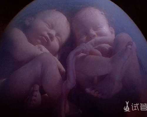 香港验血周期怎么算_香港验血化验单ved_查男女哪个化验所最准确!